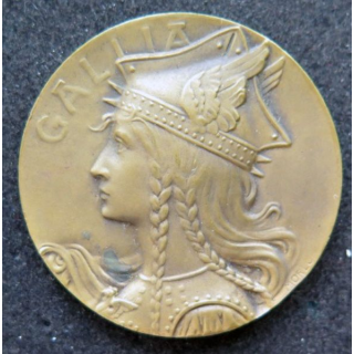 médaille du prix offert pr le délégué de l'union des sociétés de tir de France