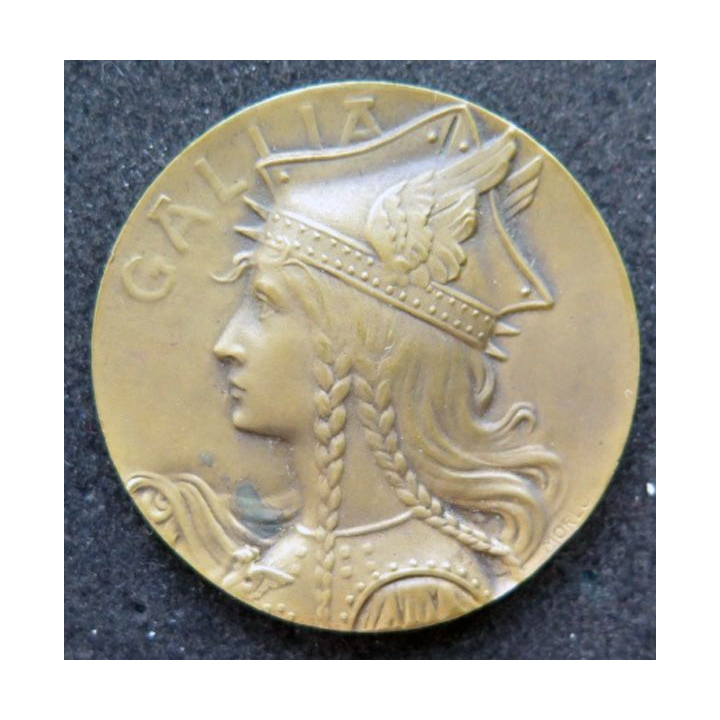 médaille du prix offert pr le délégué de l'union des sociétés de tir de France