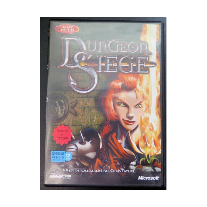 Jeu pour PC CD-ROM : Dungeon Siège version en français