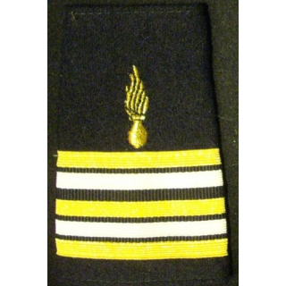 FOURREAU DE LCL CORPS DES EXPERTS : insigne tissu de fourreau de lieutenant colonel du corps des experts vendu à l'unité