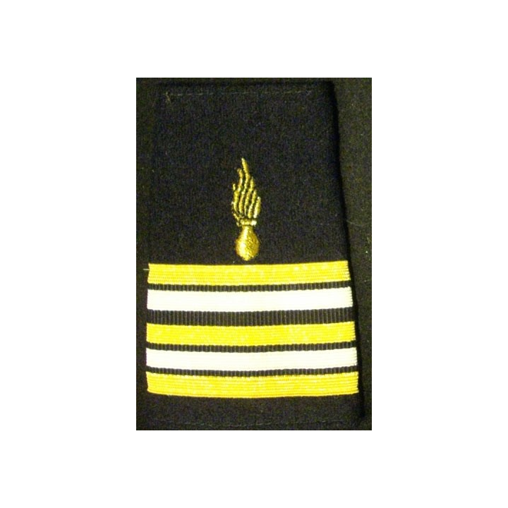 FOURREAU DE LCL CORPS DES EXPERTS : insigne tissu de fourreau de lieutenant colonel du corps des experts vendu à l'unité