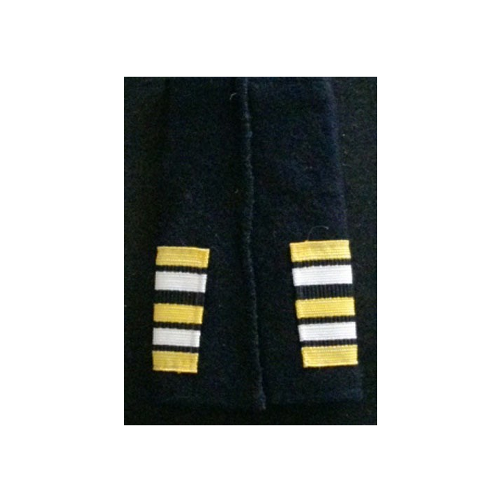 FOURREAU DE LCL CORPS DES EXPERTS : insigne tissu de fourreau de lieutenant colonel du corps des experts vendu à l'unité