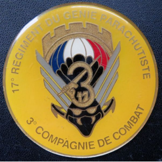 17° RGP : médaille plaque de 7,6 cm de la 3° compagnie de combat