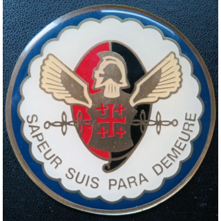 17° RGP : médaille plaque de 7,1 cm de la 1° compagnie de combat