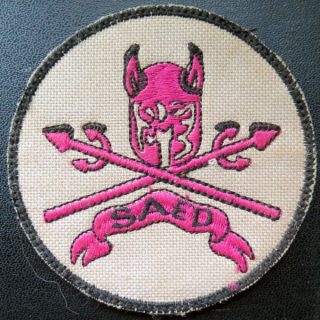 152° RI : insigne tissu 8,2 cm de la SAED du 152° régiment d'infanterie sur scratch