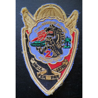 17° RGP : insigne tissu 11 x 7 cm de la 2° compagnie de combat du 17° RGP