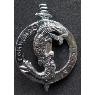  insigne de béret du commando LE LAI du 1° REC glaive dragon retirage