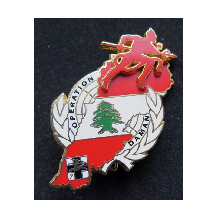 152° RI 152° régiment d'infanterie DAMAN III au Liban Arthus Bertrand