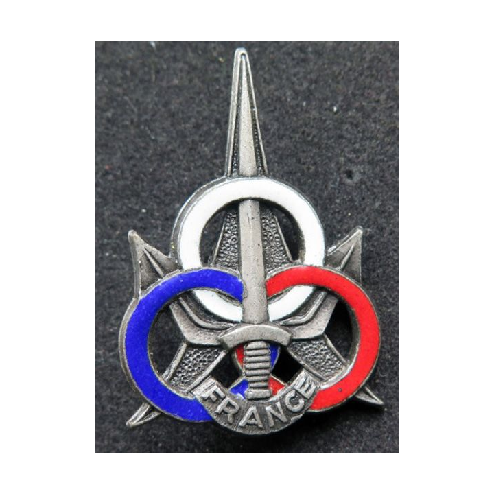 Insigne tissu du service central des sports aux Armées