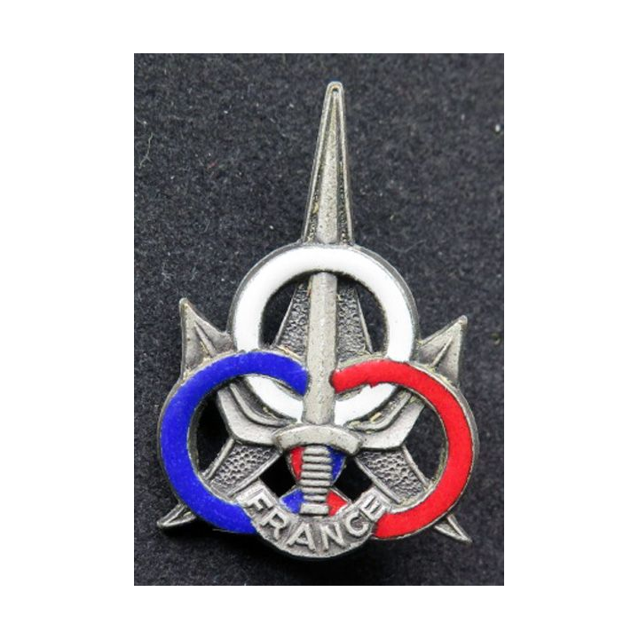 Insigne tissu du service central des sports aux Armées