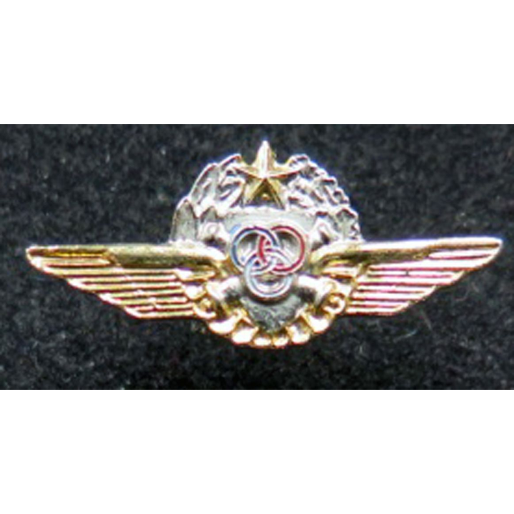 ALAT : insigne boutonnière de brevet de pilote observateur confirmé ALAT