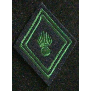LOSANGE DE BRAS MODÈLE 45 : RÉGIMENT CHARS DE COMBAT TROUPE