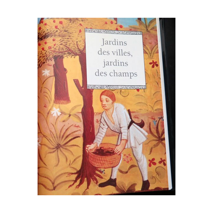 Livre La rose et la Mandragore Plantes et jardins médiévaux de Jeanne Bourin