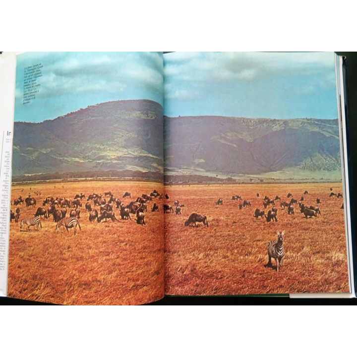 Livre Les parcs nationaux Editions Atlas cartonné
