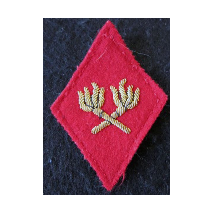 LOSANGE DE BRAS MODÈLE 45 :  modèle officiers du Service des essences des armées SEA en cannetille