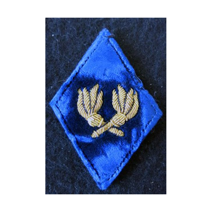LOSANGE DE BRAS MODÈLE 45 :  officiers d'administration du Service des essences des armées SEA
