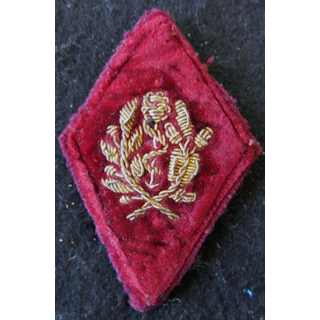 LOSANGE DE BRAS MODÈLE 45 :  officier médecin du Service de santé militaire Indochine cannetille sur velours