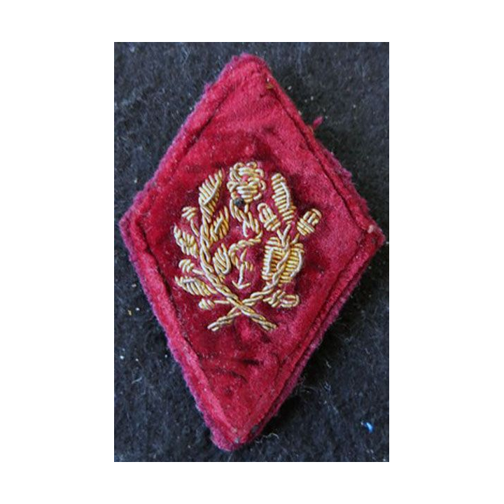 LOSANGE DE BRAS MODÈLE 45 :  officier médecin du Service de santé militaire Indochine cannetille sur velours