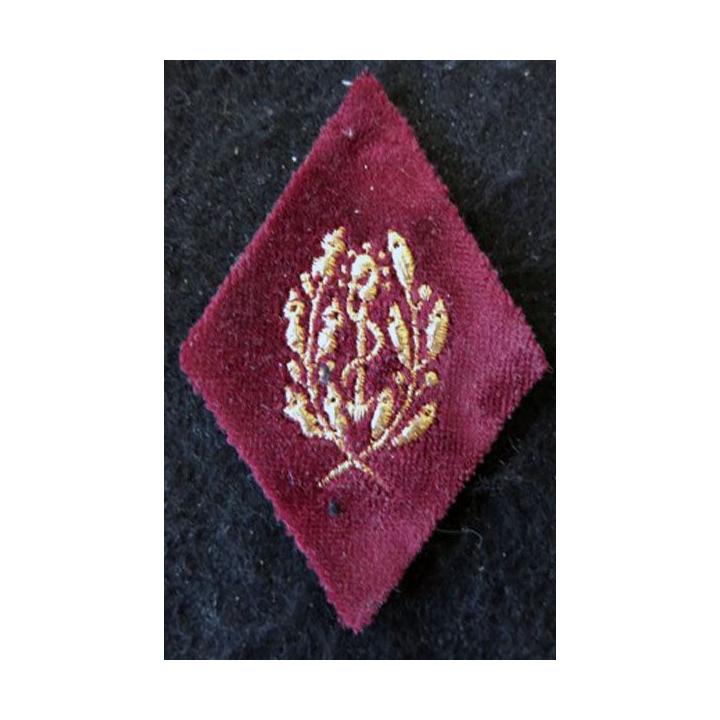 LOSANGE DE BRAS MODÈLE 45 :  sous-officier du Service de santé des armées sur velours amarante