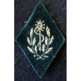 LOSANGE DE BRAS MODÈLE 45 :  sous-officier dentiste du Service de santé des armées sur velours vert