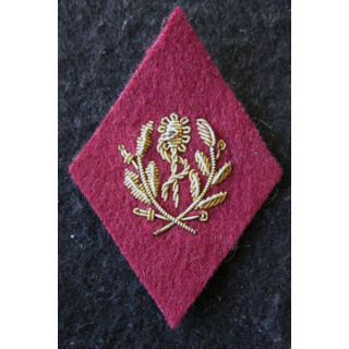 LOSANGE DE BRAS MODÈLE 45 :  Infirmier certifié (avant 1960)du Service de santé des armées en cannetille
