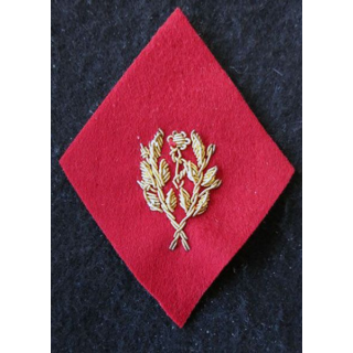 LOSANGE DE BRAS MODÈLE 45 :  Infirmier certifié (après 1960) du Service de santé des armées en cannetille