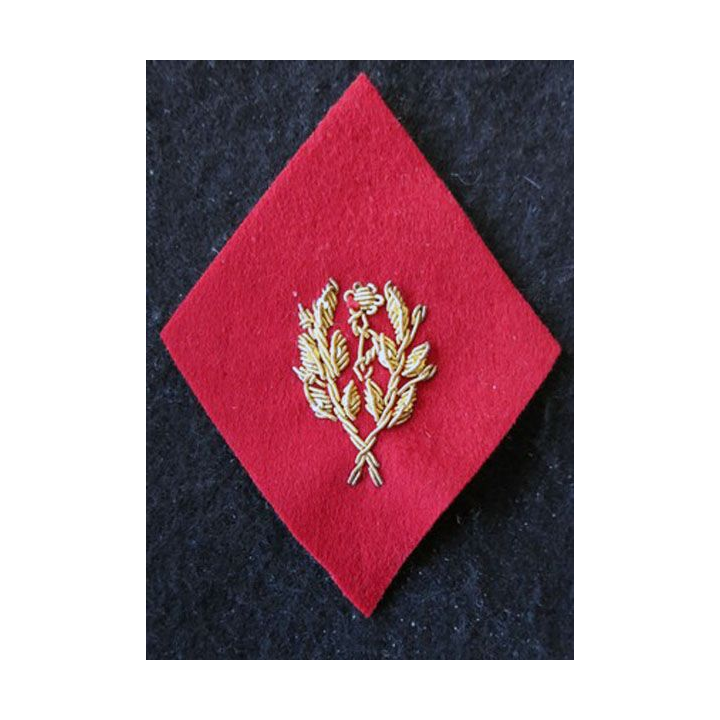 LOSANGE DE BRAS MODÈLE 45 :  Infirmier certifié (après 1960) du Service de santé des armées en cannetille