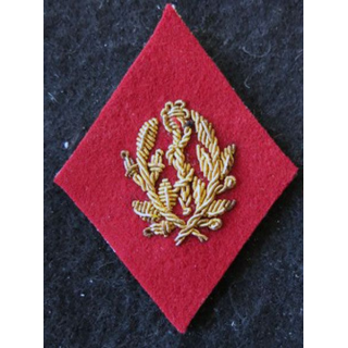 LOSANGE DE BRAS MODÈLE 45 :  Infirmier certifié (après 1960) du Service de santé des armées en cannetille
