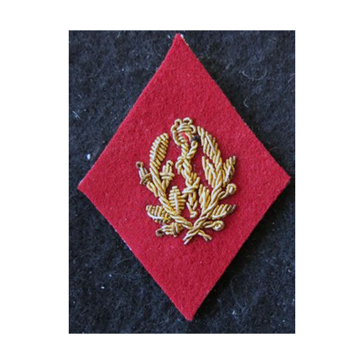 LOSANGE DE BRAS MODÈLE 45 :  Infirmier certifié (après 1960) du Service de santé des armées en cannetille