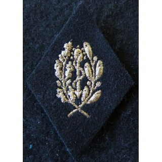 LOSANGE DE BRAS MODÈLE 45 :  personnel (cadre) du Service de santé de la coloniale fil doré