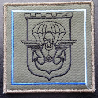 17° RGP : insigne tissu de la compagnie instruction du 17° RGP 10 x 10 cm sur scratch