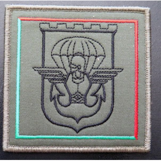 17° RGP : insigne tissu de la compagnie d'appui du 17° RGP 10 x 10 cm sur scratch