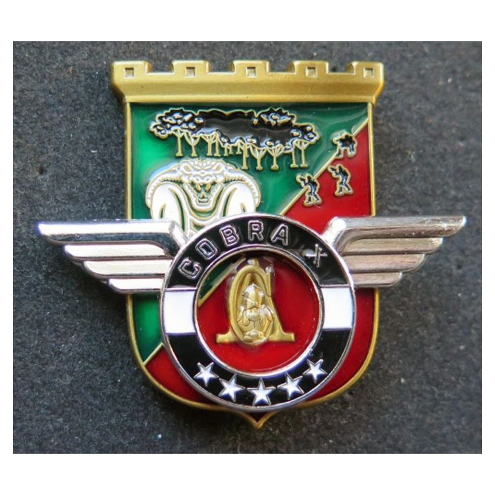 Unité COBRA X du 17° RGP Barkhane Niger Tchad Mali 2017 MCPC 