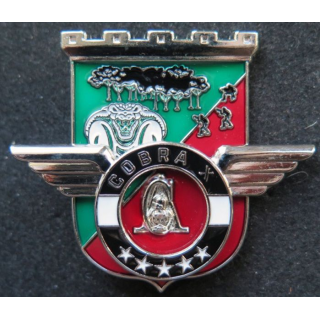 Unité COBRA X du 17° RGP Barkhane Niger Tchad Mali 2017 MCPC