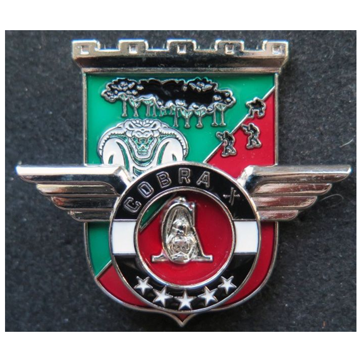 Unité COBRA X du 17° RGP Barkhane Niger Tchad Mali 2017 MCPC