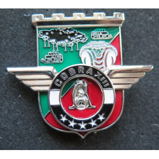 Unité COBRA XIII du 17° R Génie Parachutistes Barkhane Niger 2018 MCPC
