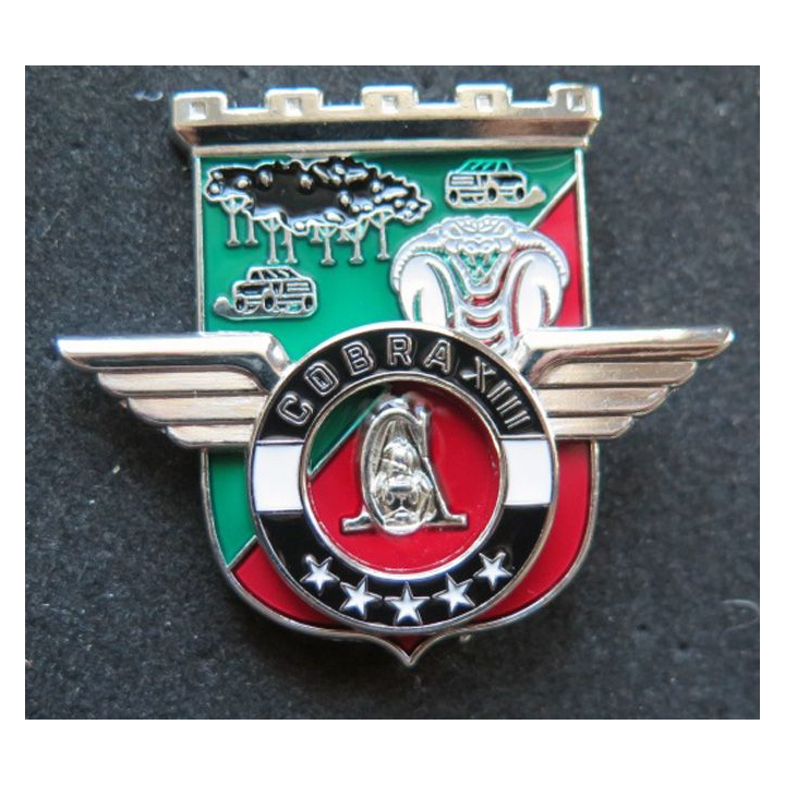Unité COBRA XIII du 17° R Génie Parachutistes Barkhane Niger 2018 MCPC