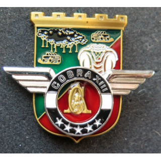 Unité COBRA XIII du 17° R Génie Parachutistes Barkhane Niger 2018 MCPC