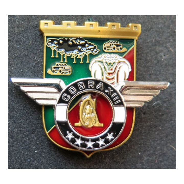 Unité COBRA XIII du 17° R Génie Parachutistes Barkhane Niger 2018 MCPC