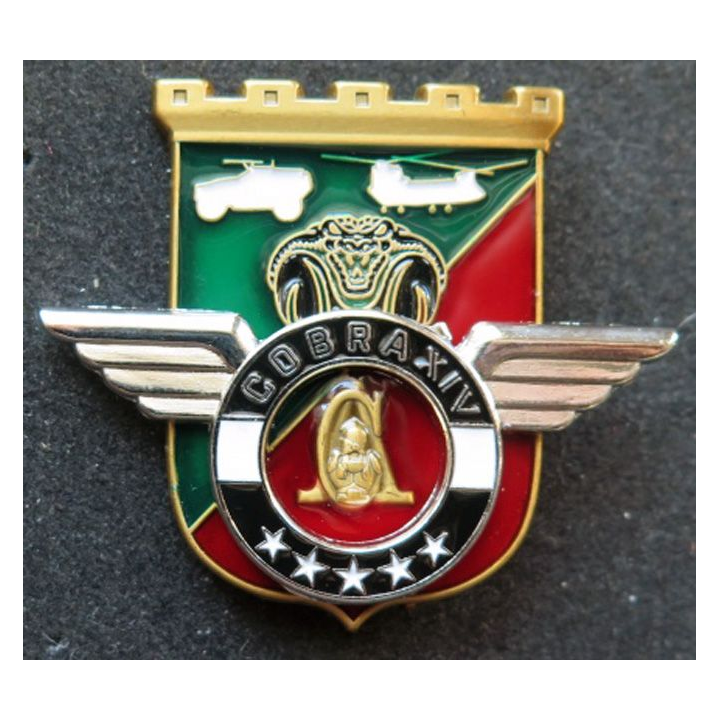 Unité COBRA XIV 17° régiment du génie parachutiste Barkhane Mali 2018