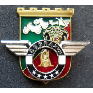 Unité COBRA XVII du 17° RGP Barkhane Mali 2019 MCPC numéroté
