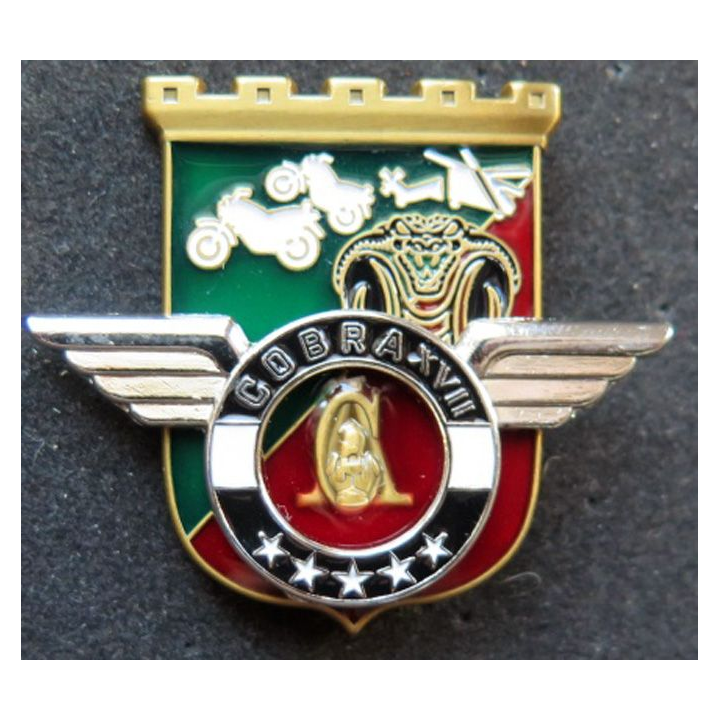 Unité COBRA XVII du 17° RGP Barkhane Mali 2019 MCPC numéroté