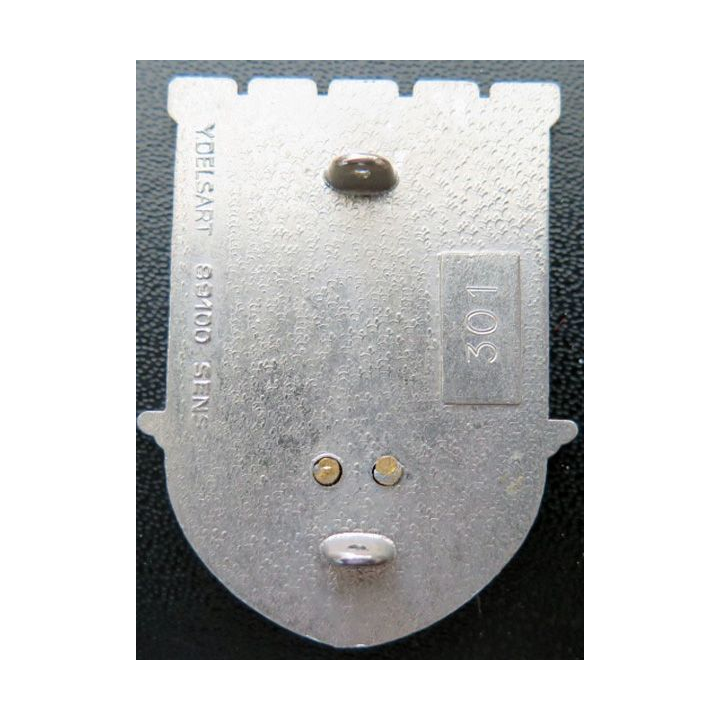 17° RGP :1°, 2° & 3° cie FINUL 78 / 79 Delsart N°301