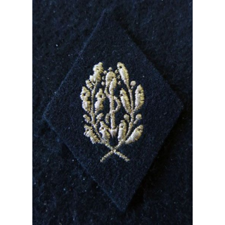 LOSANGE DE BRAS MODÈLE 45 :  auxiliaire sanitaire sous officier troupe de marine du Service de santé