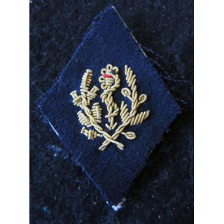 LOSANGE DE BRAS MODÈLE 45 :  officier sanitaire troupe de marine (ex coloniales) du Service de santé