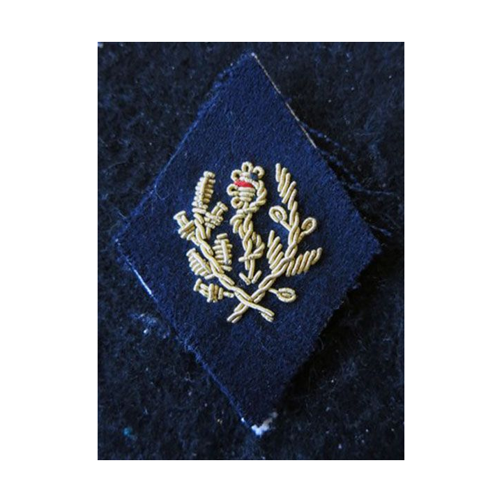 LOSANGE DE BRAS MODÈLE 45 :  officier sanitaire troupe de marine (ex coloniales) du Service de santé