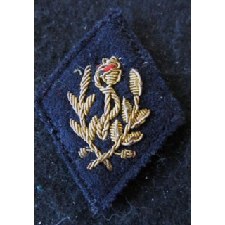 LOSANGE DE BRAS MODÈLE 45 :  officier sanitaire troupe de marine (ex coloniales) du Service de santé 1968