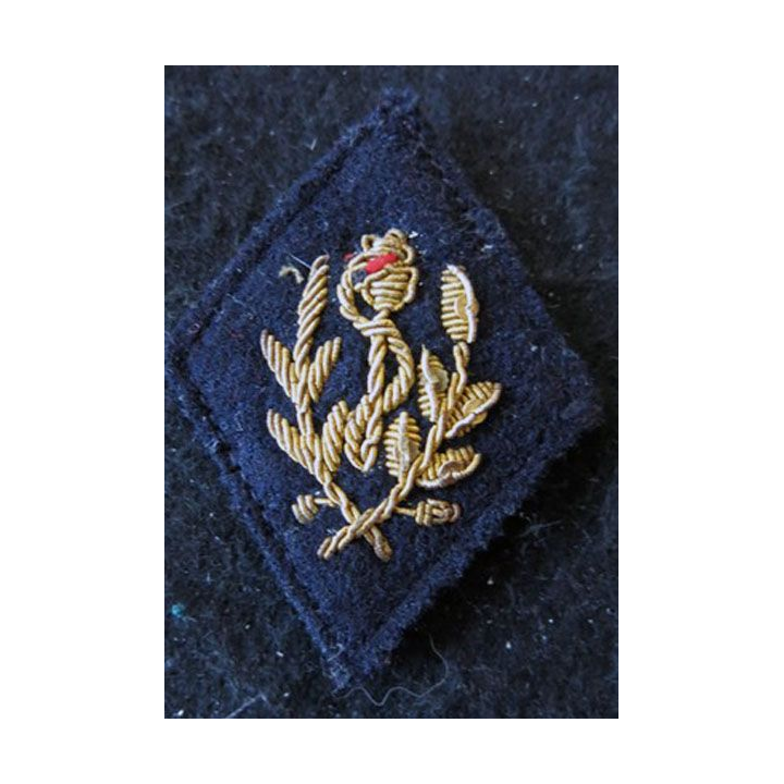 LOSANGE DE BRAS MODÈLE 45 :  officier sanitaire troupe de marine (ex coloniales) du Service de santé 1968