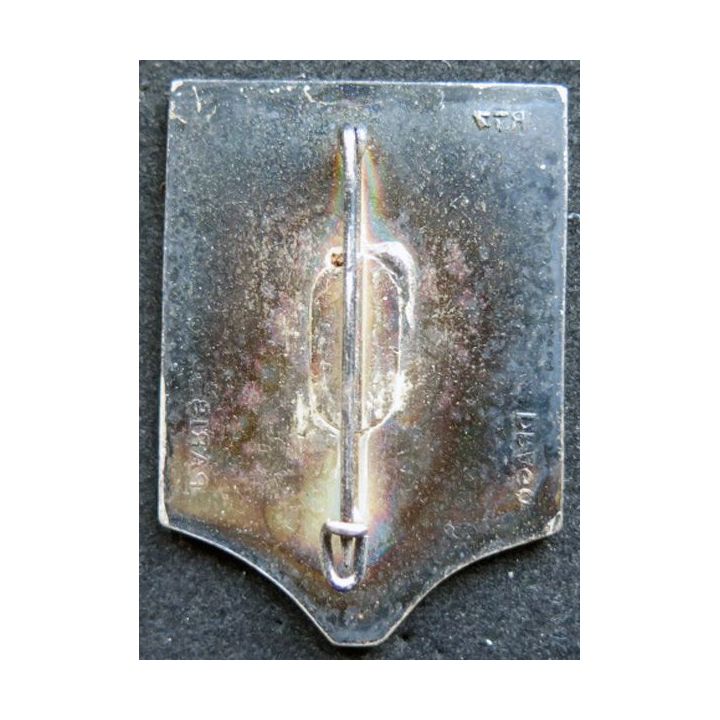 2° REI compagnie montée du 2° régiment étranger d'infanterie vert et rouge