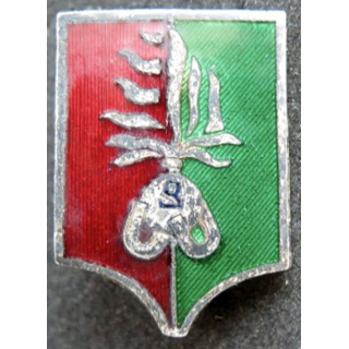 2° REI : compagnie montée du 2° régiment étranger d'infanterie 